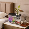 thumbnail image 6 of Blaxill Aquarium Fish Tank, Home Decor, Plastic, Clear, Black, Living Room/Bedroom/Desktop, 6 of 6