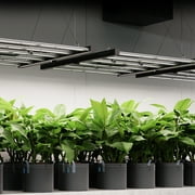 AC Infinity IONFRAME EVO6, Samsung LM301H EVO Bar LED Grow Light 4x4, 1074 Diodes, with Schedule Controller, 500W Full-Spectrum Commercial Plant Lights for Indoor Growing in Grow Rooms & Greenhouses