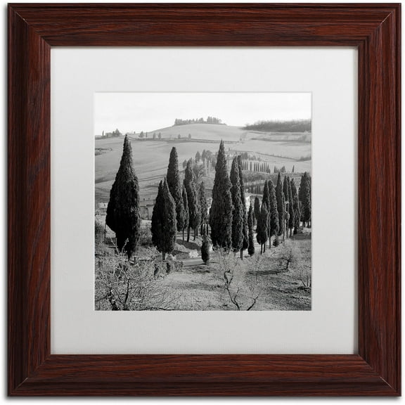 Trademark Fine Art "Tuscany IV" Canvas Art by Alan Blaustein, White Matte, Wood Frame