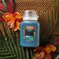 Yankee Candle Moonlight Cove Original Large Jar Candle
