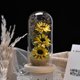 thumbnail image 4 of Girasol artificial con cúpula de cristal con tira de Led, un regalo navideño para familiares y amigos femeninos, 4 of 5