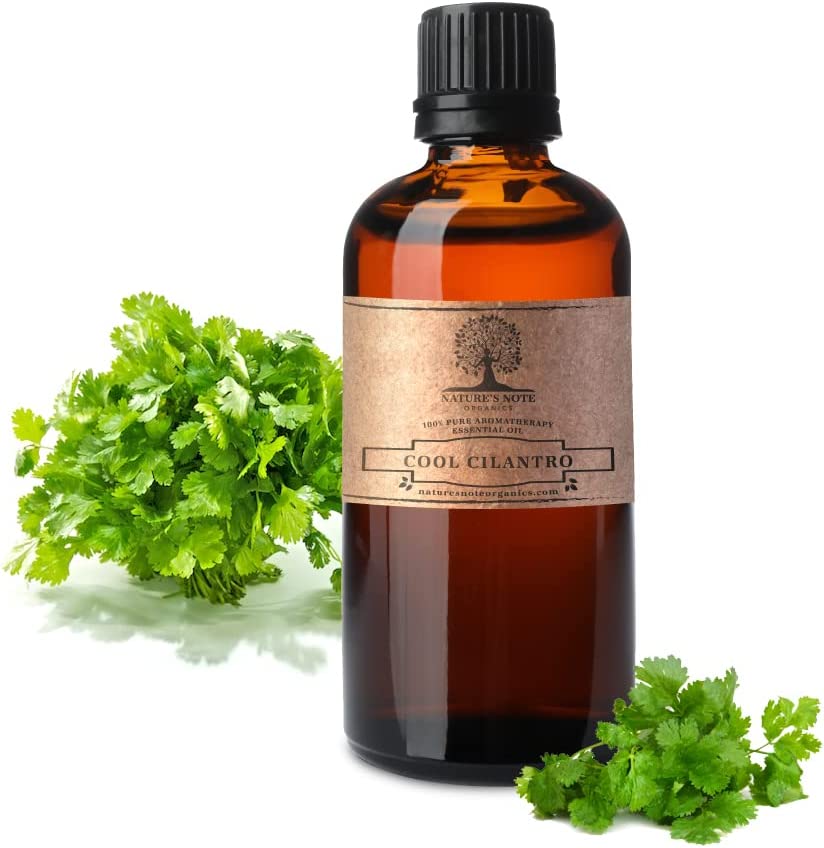 Cilantro Essential oil 100 Pure Aromatherapy Grade Essential oil by Nature's Note Organics