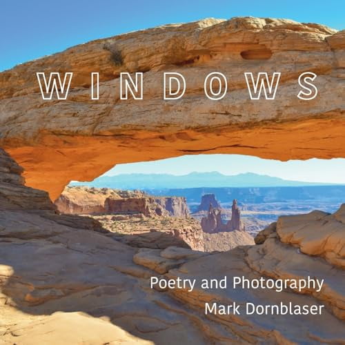 Pre-Owned Windows (Paperback) 0578320541 9780578320540