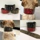 thumbnail image 2 of Collar de perro de cuero con tachuelas afiladas de 3 "para entrenamiento, deportes, caminar, mediano, grande, extragrande, para Pitbull, Labrador, Boxer L, 2 of 4
