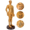 thumbnail image 3 of Human Body Acupuncture Model, Odorless Useful Body Acupuncture Model, For Massage Model Female Model,Male Model, 3 of 8