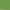 Green Tray + 3pcs Grass Pads, variant on Dog Grass Pad with Tray,Dog Grass Potty Litter Box with Fake Grass Patch Washable Pee Pads, Artificial Dog Grass Bathroom Turf for Puppy Training (Gray Tray + 3 Grass Pads for Replacement) 21"x17"