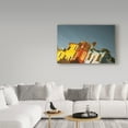 thumbnail image 3 of Trademark Fine Art 'Reflections of Burano XI' Canvas Art by Aledanda, 3 of 3