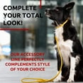 thumbnail image 5 of Glamour Rolled Leather Dog Leash for Small Medium and Large Dogs | Heavy Duty Strong Leather Puppy Leash for Outdoor Walking Running Training | Strong Dog Leashes for Large Breed Dogs - Yellow, 5 of 6