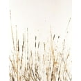 thumbnail image 2 of Lam, Vanna 20x24 Black Ornate Wood Framed with Double Matting Museum Art Print Titled - Golden Sea Oats II, 2 of 4