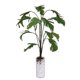 thumbnail image 1 of Árbol de Plátano en Jarrón Yotijar Decoración de Habitación Miniatura 1/12, 1 of 10