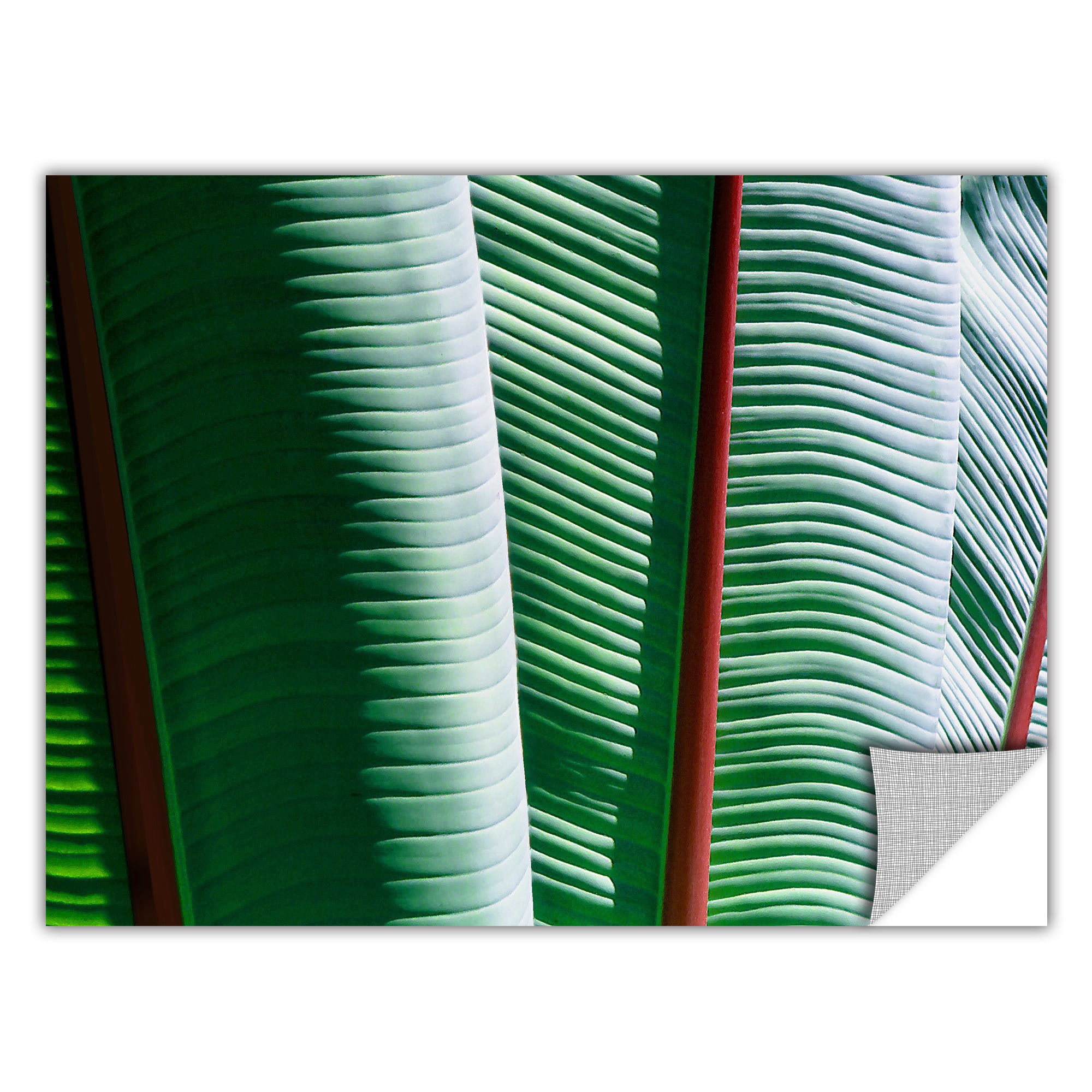 Dean Uhlinger Tropicality, Art Appeelz Removable Wall Art Graphic