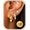 Gold-3pcs, variant on 4-Pair Gold Earrings Set for Women, CZ Studs & Huggie Hoops, 14K Gold Plated
