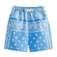 thumbnail image 4 of Kids Elastic Waist Shorts For Boys And Girls Comfortable Casual Playwear Breathable Summer Daily Wear Toddler To Teen Adjustable Fit 2025 NEW Boys Shorts G 3-4 Years, 4 of 4
