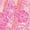 Groovy Garden, variant on Member's Mark 2-Pack Kids Beach Towel, 30" x 60"