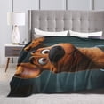 thumbnail image 5 of Scooby Doo Blanket, Super Soft Throw Blanket, Cozy Flannel Blankets For Boys Girls, Warm Blankets For Couch Sofa Bed, 80"X60", 5 of 9