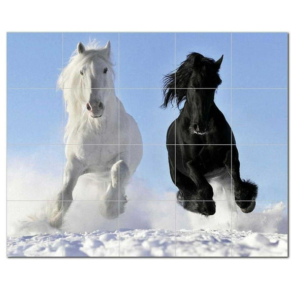 Horse Photo Ceramic Tile Mural Kitchen Backsplash Bathroom Shower, 405241-M54