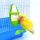 thumbnail image 5 of soportes para loros, comederos para loros, accesorios para aves de compañía (verde), 5 of 7