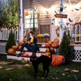 thumbnail image 6 of BNNG Black Cat Halloween Decorations Plastic Yard Signs with Stakes,Halloween Decorations Outdoor, Scary Silhouette with Glow in Dark Eyes for Outdoor Yard Lawn Garden Halloween Decor, 6 of 6