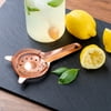 Thyme & Table Copper Cocktail Strainer