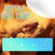 thumbnail image 5 of NOMOYPET 2 Pack Reptile Uvb Uva Heat Lamp Bulb For Reptiles (100 W), 5 of 5