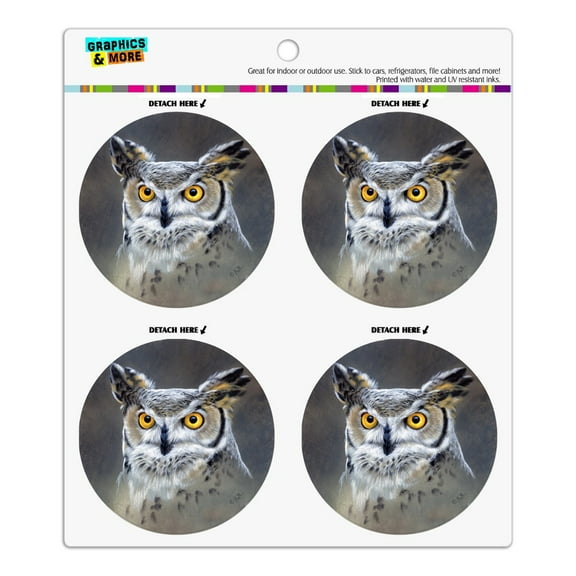 Great Horned Owl Painting Refrigerator Fridge Locker Vinyl Circle Magnet Set