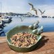 thumbnail image 4 of Bañera para pájaros redonda con dos pájaros decorativos de cerámica: bebedero y comedero para pájaros al aire libre a pie para pájaros silvestres, 4 of 4