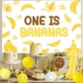 thumbnail image 2 of Bananas Party Decoration, One Is Bananas Backdrop Theme First Birthday Photo Banner Number 1 Foil Balloons Latex Balloons Let's Go Bananas 1st Bday Decorations for Kids First Birthday, 2 of 7