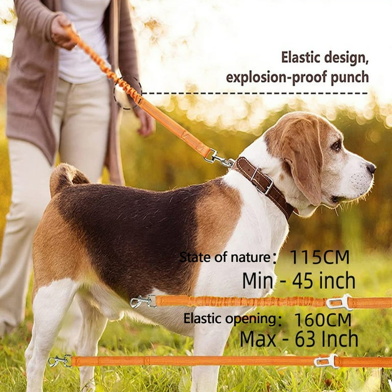 Girl dog leashes online