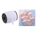 thumbnail image 4 of Banda Elástica Plana Cuerda da Banda de Cintura Elasticidad para DIY Costura Artesanía Carteles Pantalones Lencería Cuff Weaving DressMakin blanco Macarena Cordón de banda elástica, 4 of 8