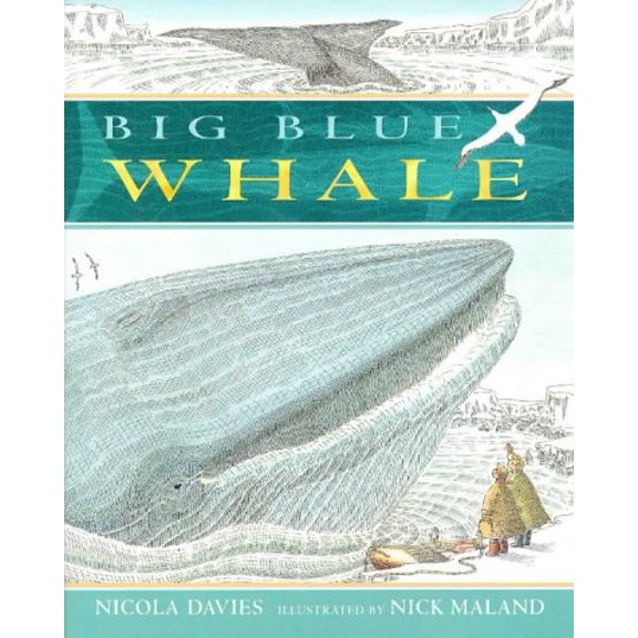 Pre-Owned Big Blue Whale (Paperback) 0744563003 9780744563009