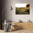 thumbnail image 3 of Bob Stefko 32x23 Gallery Wrapped Canvas Wall Art Titled - Sunflower Fields IV, 3 of 4