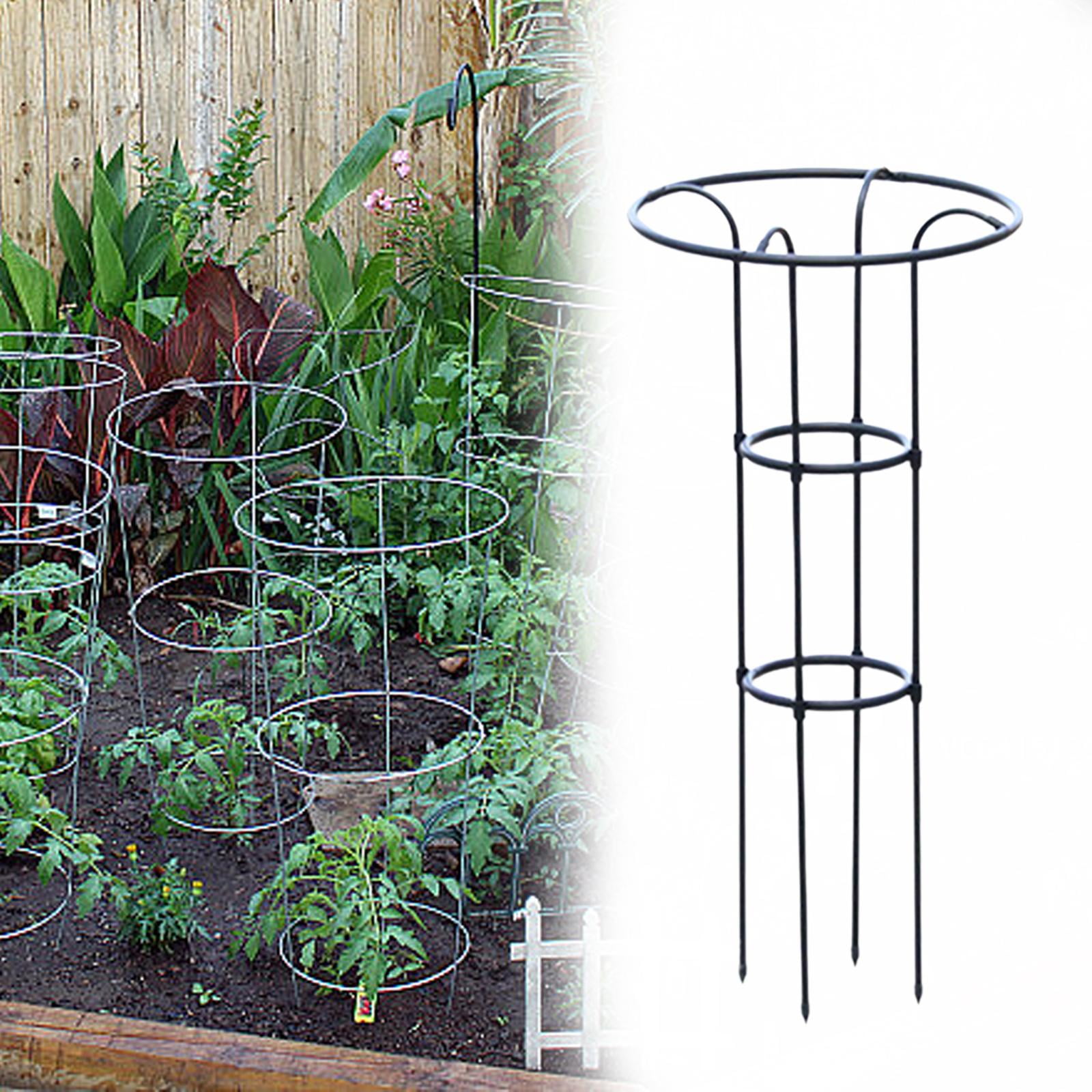 Fzaqwen Plant Climbing Support Trellis Multipurpose Accessories Vertical Tomato Cage for 100 cm