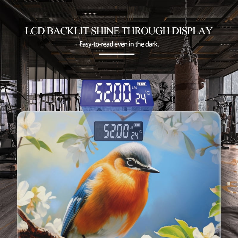 Bathroom Scale, Highly Accurate Digital Body Scale,Precisely Measures Weight up to 400 lbs-Blue Bird Perched On Branch With White Blossoms