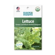 Back to the Roots Organic Green Leaf Black Seeded Simpson Lettuce Seeds, 1 Seed Packet