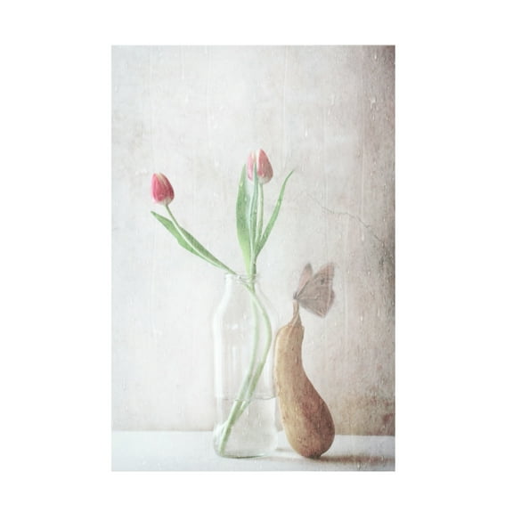 Canvas Wall Art - Delphine Devos 'The Pitter Patter Of The Rain' Wall Art for Living Room, Bedroom, or Office Décor by Trademark Fine Art - 12 x 19 Inches