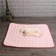 thumbnail image 2 of Nvzi Almohadilla de hielo para mascotas, base antideslizante, rosa, lavable, adecuada para refrescar a gatos y perros en verano, 39,37 * 29,5 pulgadas, 1 pieza, 2 of 4