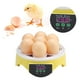 thumbnail image 4 of Nacedora, 7 huevos Incubadora inteligente con control de temperatura en el hogar Incubadora automática Valor excepcional, 4 of 8