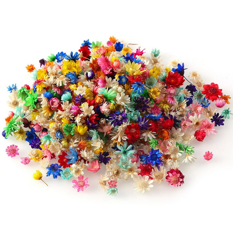 TRINGKY Dried Flowers for Resin Molds,Natural Dried Pressed Flowers Card  Making Supplies 