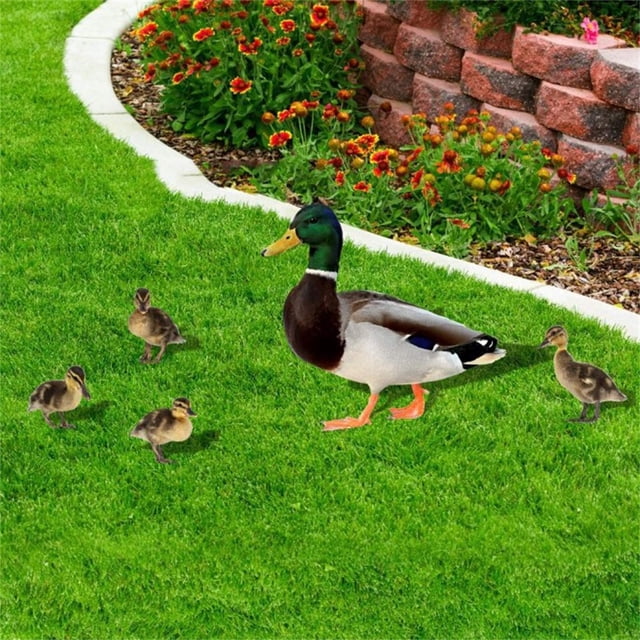 Fiudx Estatuas de Jardín para Exteriores, Arte Avícola Realista, Decoraciones de Acrílico Duraderas para Jardín, Diseño Resistente a La Intemperie, Adornos para El Césped, Decoración Del Hogar, Juego