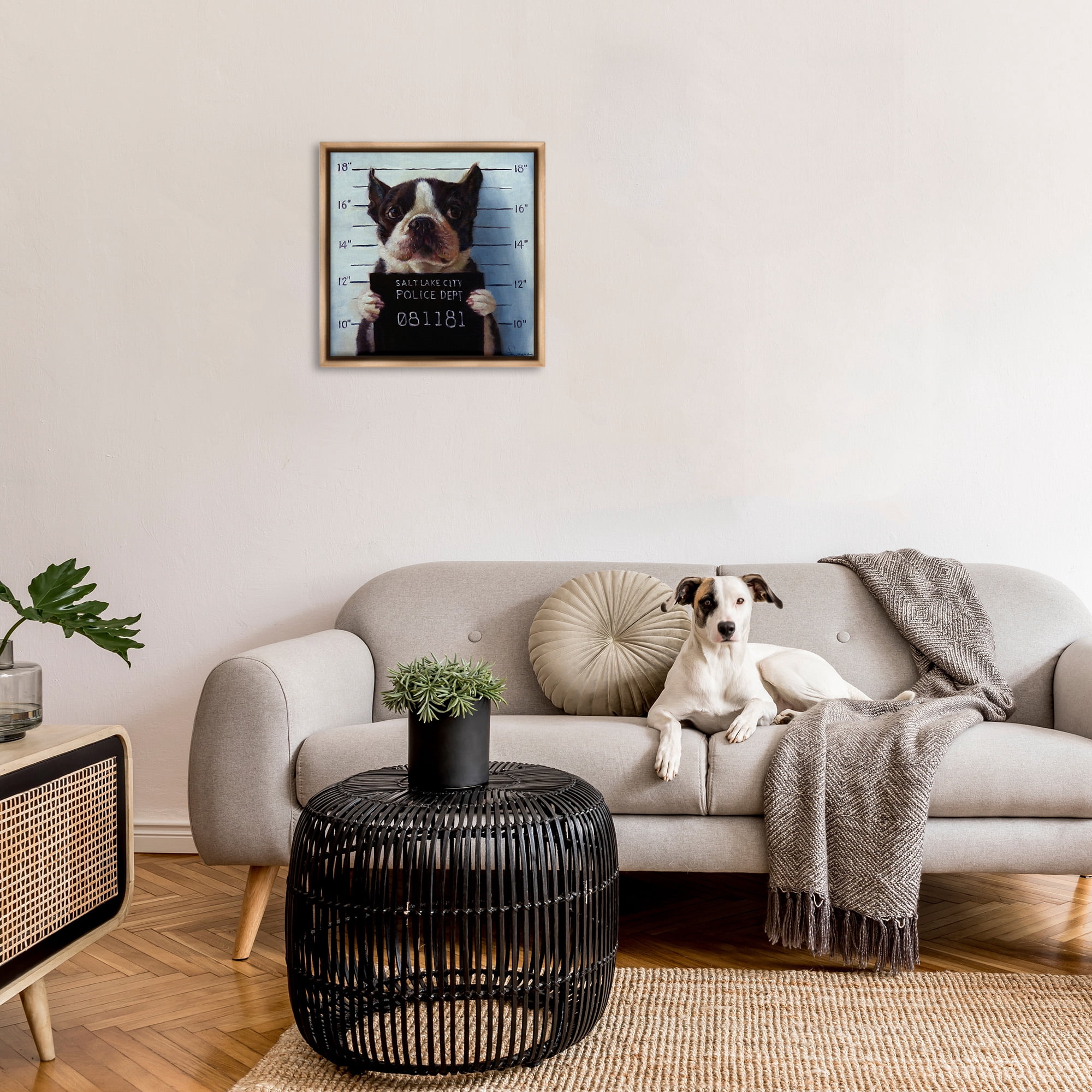 Stupell Industries Boston Terrier Jail Convicted Mugshot Animals & Insects Painting Brown Floater Framed Canvas Art Print Wall Art, 25 x 25