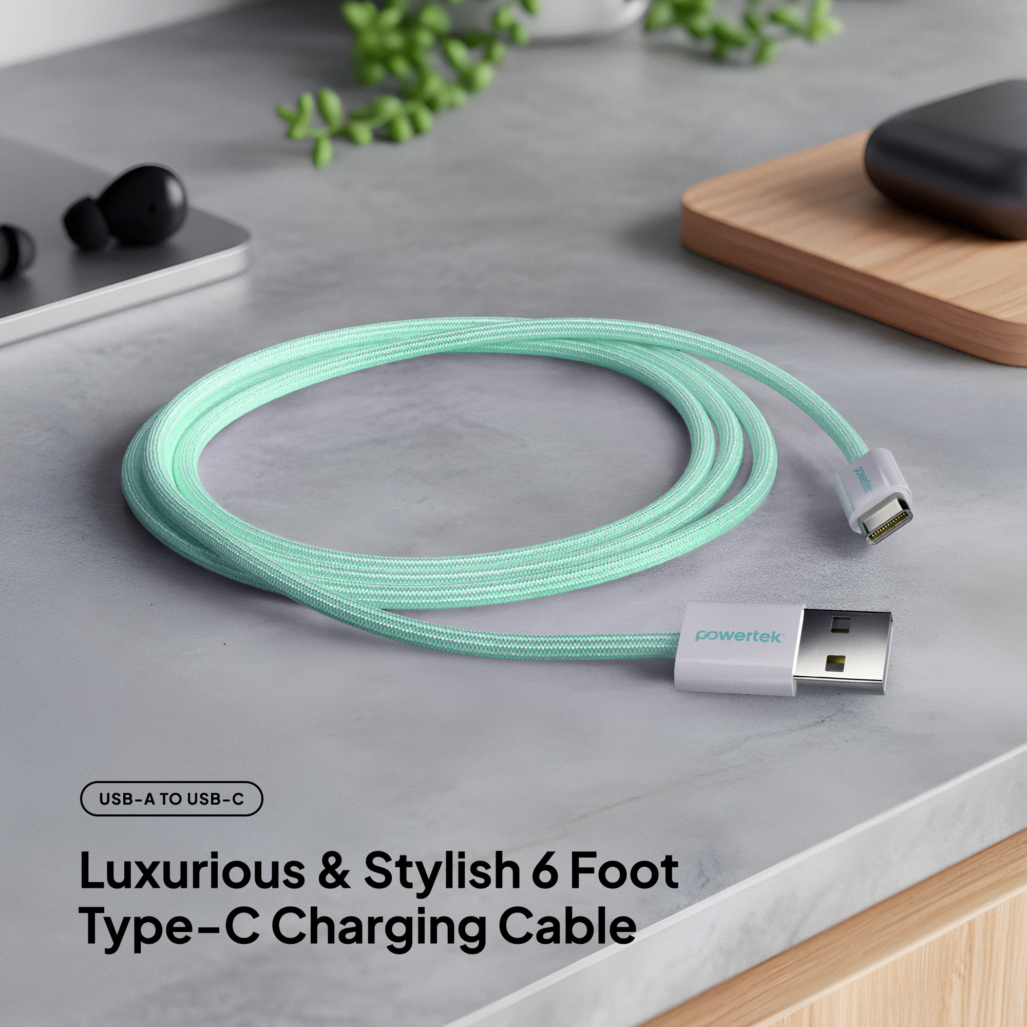 Liquipel Powertek Pastel Braided USB-A to USB-C - Mint