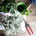 thumbnail image 5 of BambooMN - Heavy Duty Pruning Shear Snip - 1 Piece, 5 of 6