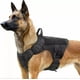 thumbnail image 2 of Táctico De Arnes Perros Con Correa Elástica Para Cazar, Xl, 2 of 8