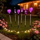 thumbnail image 1 of Luces solares LED para jardín, paquete de 6 | Decoración para exteriores, de plástico rojo y rosa, impermeables, para patio | Carga automática | Guirnalda de luces decorativas navideñas, 1 of 9