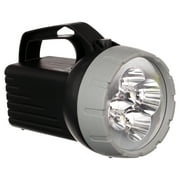 Rayovac Brite Essentials Floating Lantern, 6V Battery Included, 200 Lumens