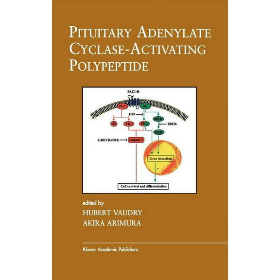 Endocrine Updates Pituitary Adenylate Cyclase-Activating Polypeptide, Book 20, (Hardcover)