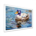 thumbnail image 2 of Designart "Duck Enjoying Pond Scenery II" Animals Framed Wall Art Decor - Modern Farmhouse White Duck Entryway Framed Wall Art Print, 2 of 6