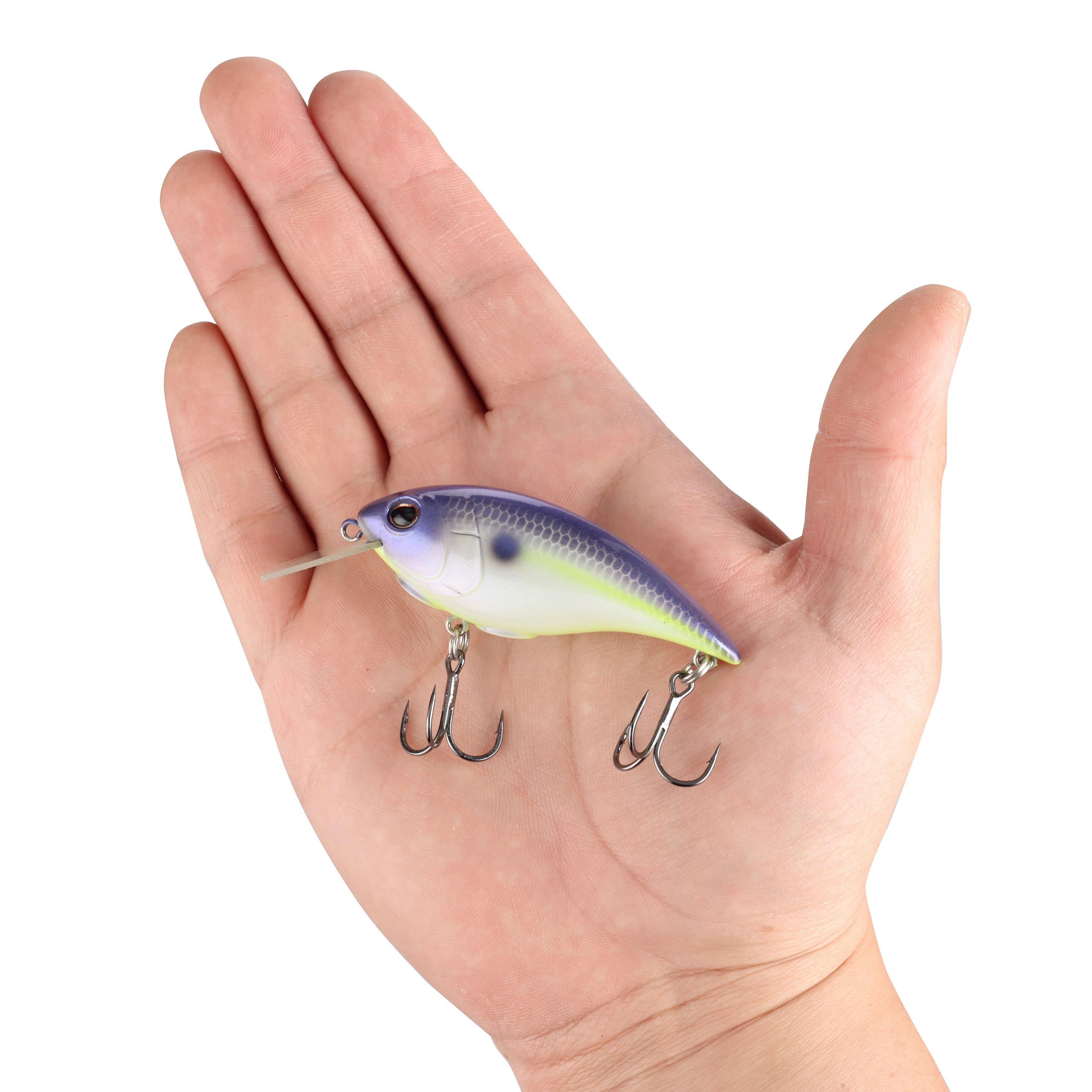 Shallow Money Badger Fishing Crankbait, 2.75 in, Purple Glimmer