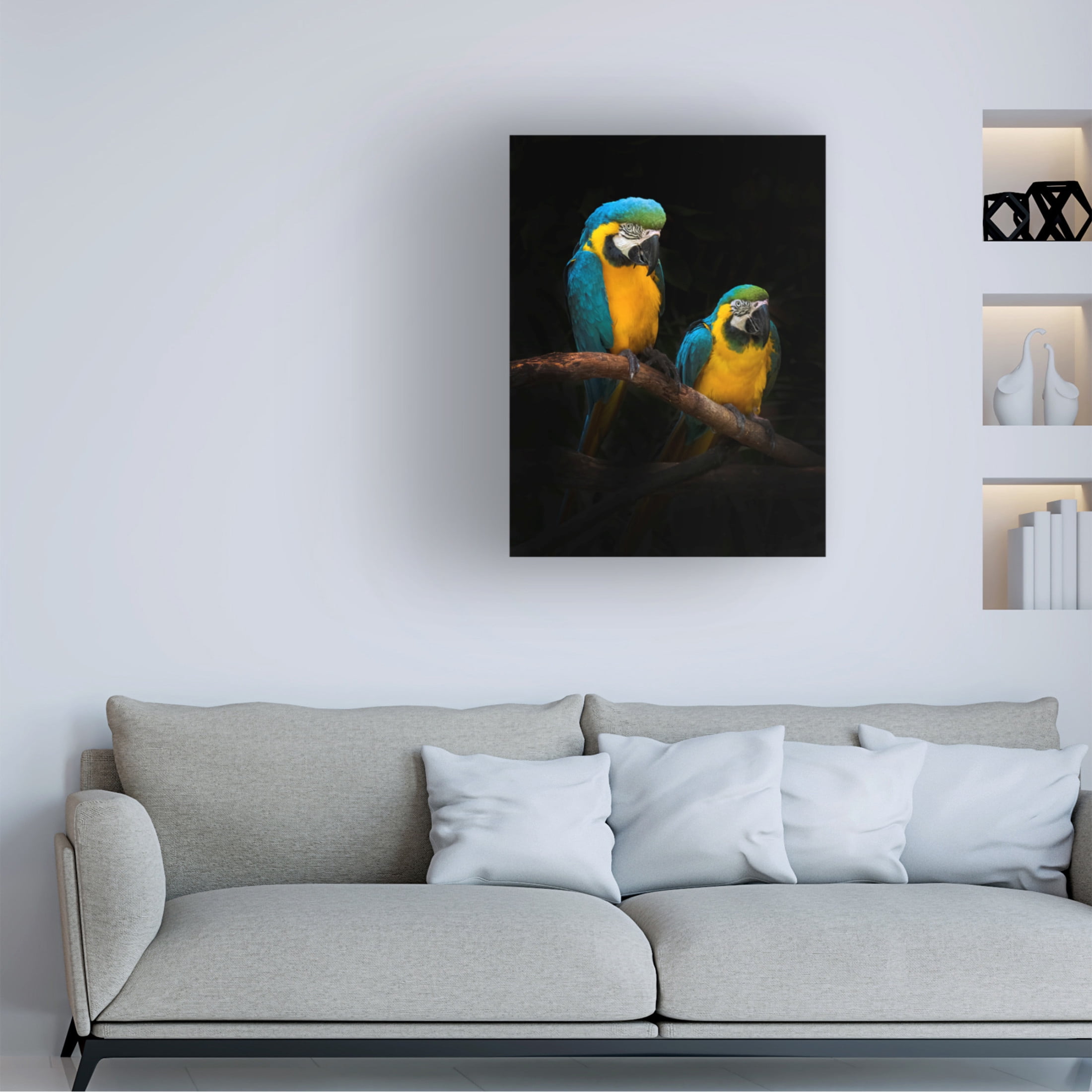 Trademark Fine Art Antonyus Bunjamin  Macaw Parrots Canvas Wall Art