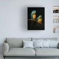 thumbnail image 2 of Trademark Fine Art Antonyus Bunjamin  Macaw Parrots Canvas Wall Art, 2 of 4